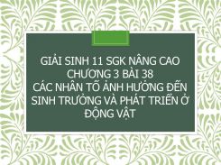 Giải Sinh 11 SGK nâng cao Chương 3 Bài 38 Các nhân tố ảnh hưởng đến sinh trưởng và phát triển ở động vật