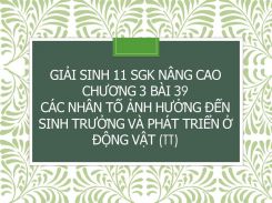 Giải Sinh 11 SGK nâng cao Chương 3 Bài 39 Các nhân tố ảnh hưởng đến sinh trưởng và phát triển ở động vật (tt)