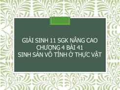 Giải Sinh 11 SGK nâng cao Chương 4 Bài 41 Sinh sản vô tính ở thực vật