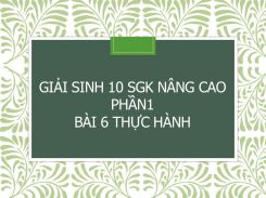 Giải Sinh 10 SGK nâng cao Phần1 Bài 6 Thực hành