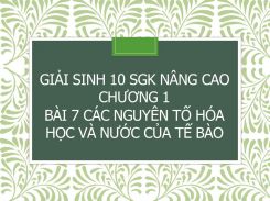 Giải Sinh 10 SGK nâng cao Chương 1 Bài 7 Các nguyên tố hóa học và nước của tế bào