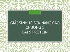 Giải Sinh 10 SGK nâng cao Chương 1 Bài 9 Prôtêin