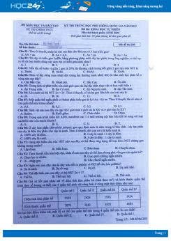 Đáp án đề thi THPT QG môn Sinh năm 2019 mã đề 205