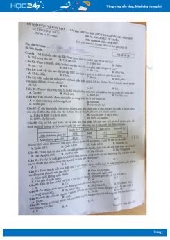 Đáp án đề thi THPT QG 2019 môn Sinh học mã đề 201