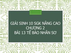 Giải Sinh 10 SGK nâng cao Chương 2  Bài 13 Tế bào nhân sơ