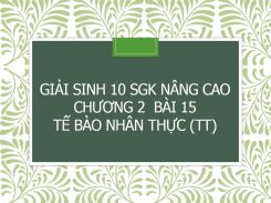 Giải Sinh 10 SGK nâng cao Chương 2  Bài 15 Tế bào nhân thực (tt)