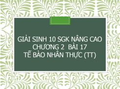 Giải Sinh 10 SGK nâng cao Chương 2  Bài 17 Tế bào nhân thực (tt)