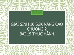 Giải Sinh 10 SGK nâng cao Chương 2  Bài 19 Thực hành