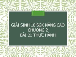 Giải Sinh 10 SGK nâng cao Chương 2  Bài 20 Thực hành