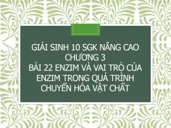 Giải Sinh 10 SGK nâng cao Chương 3  Bài 22 Enzim và vai trò của enzim trong quá trình chuyển hóa vật chất