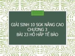 Giải Sinh 10 SGK nâng cao Chương 3 Bài 23 Hô hấp tế bào