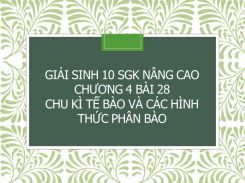 Giải Sinh 10 SGK nâng cao Chương 4 Bài 28 Chu kì tế bào và các hình thức phân bào
