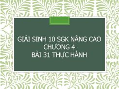 Giải Sinh 10 SGK nâng cao Chương 4 Bài 31 Thực hành