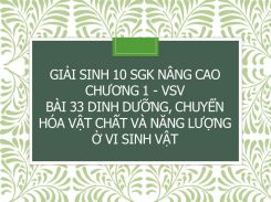 Giải Sinh 10 SGK nâng cao Chương 1 - VSV Bài 33 Dinh dưỡng, chuyển hóa vật chất và năng lượng ở vi sinh vật