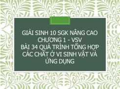Giải Sinh 10 SGK nâng cao Chương 1 - VSV Bài 34 Quá trình tổng hợp các chất ở vi sinh vật và ứng dụng