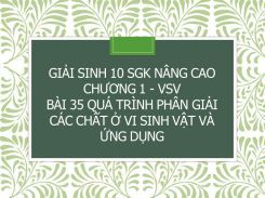 Giải Sinh 10 SGK nâng cao Chương 1 - VSV Bài 35 Quá trình phân giải các chất ở vi sinh vật và ứng dụng