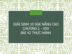 Giải Sinh 10 SGK nâng cao Chương 2 - VSV Bài 42 Thực hành
