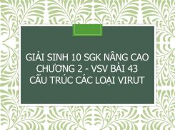 Giải Sinh 10 SGK nâng cao Chương 3 - VSV Bài 43 Cấu trúc các loại virut