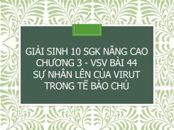 Giải Sinh 10 SGK nâng cao Chương 3 - VSV Bài 44 Sự nhân lên của virut trong tế bào chủ