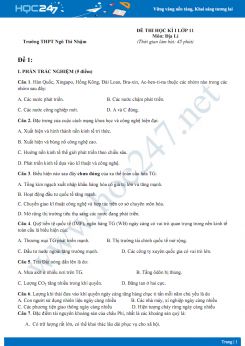 4 Đề thi HK1 môn Địa lớp 11 năm 2018-2019 - Trường THPT Ngô Thì Nhậm