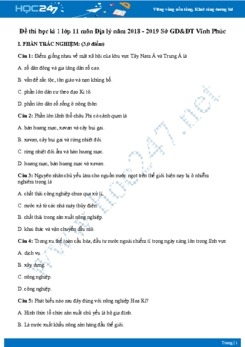 Đề thi HK1 môn Địa lớp 11 năm 2018-2019 - Sở GD & ĐT Vĩnh Phúc