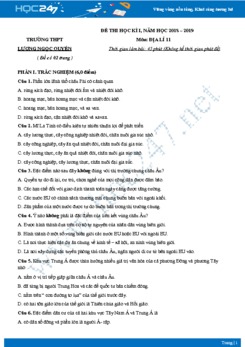 Đề thi HK1 môn Địa lớp 11 năm 2018-2019 - Trường THPT Lương Ngọc Quyến