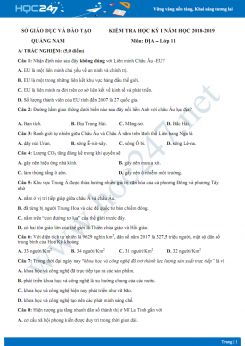 Đề thi HK1 môn Địa lớp 11 năm 2018-2019 - Sở GD & ĐT Quảng Nam