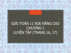Giải Toán 11 SGK nâng cao Chương 1 Luyện tập (trang 16, 17)
