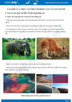 vai trò của thực vật đối với động vật và con người  - Sinh học 6