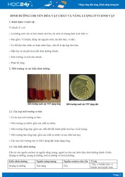 Dinh dưỡng chuyển hóa vật chất và năng lượng ở vi sinh vật - Sinh học 10