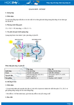 Lý thuyết Quang hợp - Hô hấp - Sinh học 10
