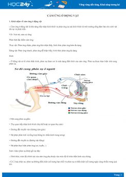 Lý thuyết Cảm ứng ở động vật - Sinh học 11