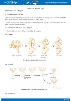Lý thuyết Sinh sản ở động vật - Sinh học 11