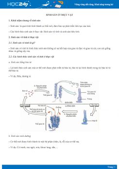 Lý thuyết Sinh sản ở thực vật - Sinh học 11