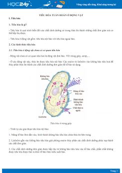 Lý thuyết Tiêu hóa - Tuần hoàn ở động vật - Sinh học 11