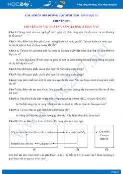 Câu hỏi ôn bồi dưỡng HSG môn Sinh lớp 11 - Chuyên đề Chuyển hóa vật chất và năng lượng ở thực vật