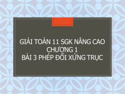 Giải Toán 11 SGK nâng cao Chương 1 Bài 3 Phép đối xứng trục
