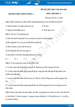 Đề thi giữa HK2 môn Sinh lớp 11 năm 2018-2019 - Trường THPT Thống Nhất A