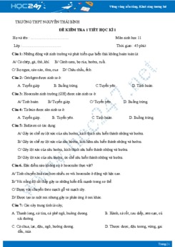 Đề thi giữa HK1 môn Sinh lớp 11 năm 2018-2019 - Trường THPT Nguyễn Thái Bình