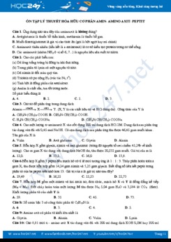 Ôn tập lý thuyết hữu cơ phần Amin - Amino axit - Peptit (có đáp án)
