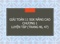 Giải Toán 11 SGK nâng cao Chương 1 Luyện tập (trang 46, 47)
