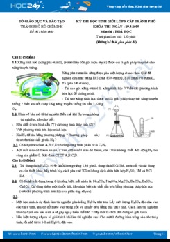 Đề thi HSG môn Hóa học 9 năm 2019 - Thành phố Hồ Chí Minh