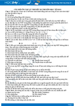 Câu hỏi ôn tập lý thuyết di truyền học tế bào Sinh học 12