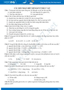 Câu hỏi trắc nghiệm hô hấp ở thực vật Sinh học 11 mức độ nhận biết