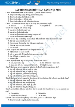 Câu hỏi trắc nghiệm cân bằng nội môi Sinh học 11 mức độ nhận biết