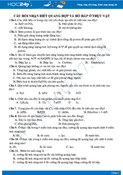 Câu hỏi trắc nghiệm quang hợp ở thực vật Sinh học 11 mức độ nhận biết