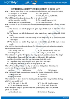 Câu hỏi trắc nghiệm tuần hoàn máu ở động vật Sinh học 11 mức độ nhận biết