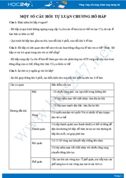 Câu hỏi tự luận ôn tập chương Hô hấp Sinh học 8 có đáp án