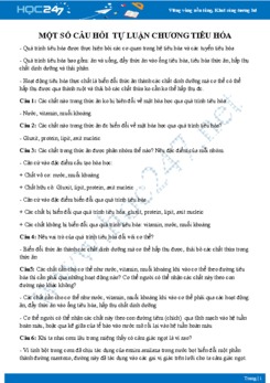 Câu hỏi tự luận ôn tập chương Tiêu hóa Sinh học 8 có đáp án