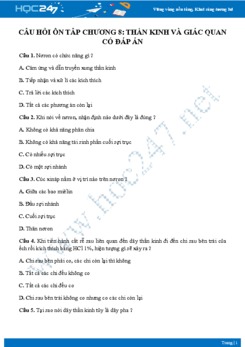 Câu hỏi trắc nghiệm ôn tập Thần kinh và giác quan Sinh học 8 có đáp án